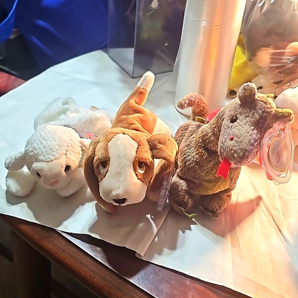 Beanie Baby Bundle of 3